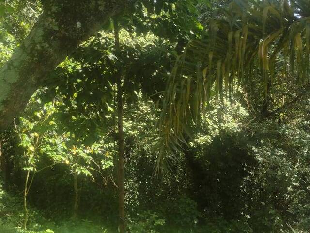 #58 - Terreno para Venda em Itapevi - SP - 3